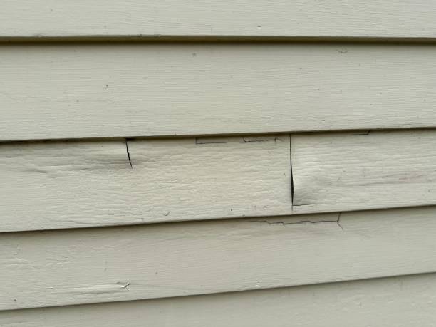 Best Custom Trim and Detailing for Siding  in Youngtown, AZ